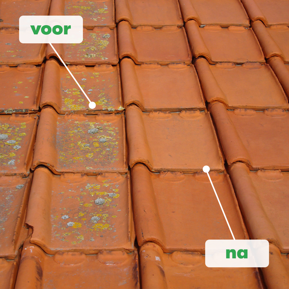 Dak ontmossen producten