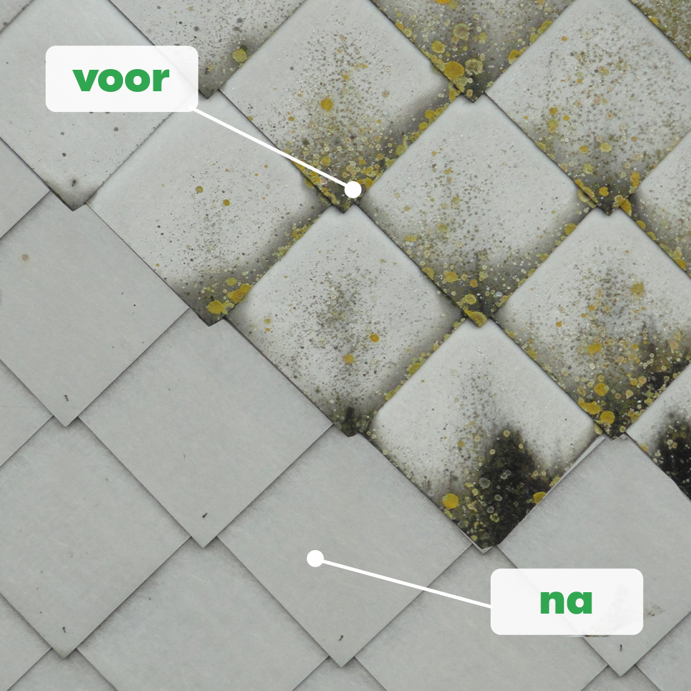 groene aanslag gevel verwijderen